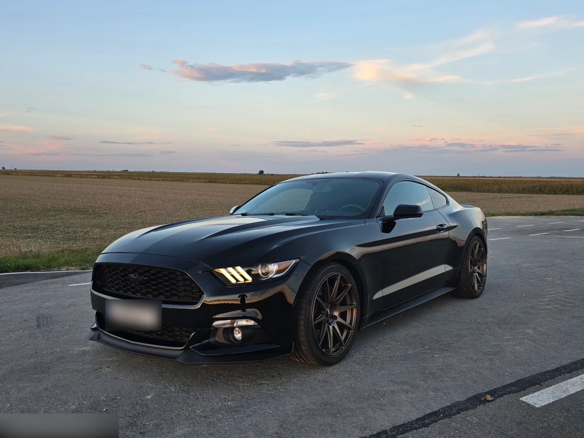 Ford Mustang-FULL BLACK