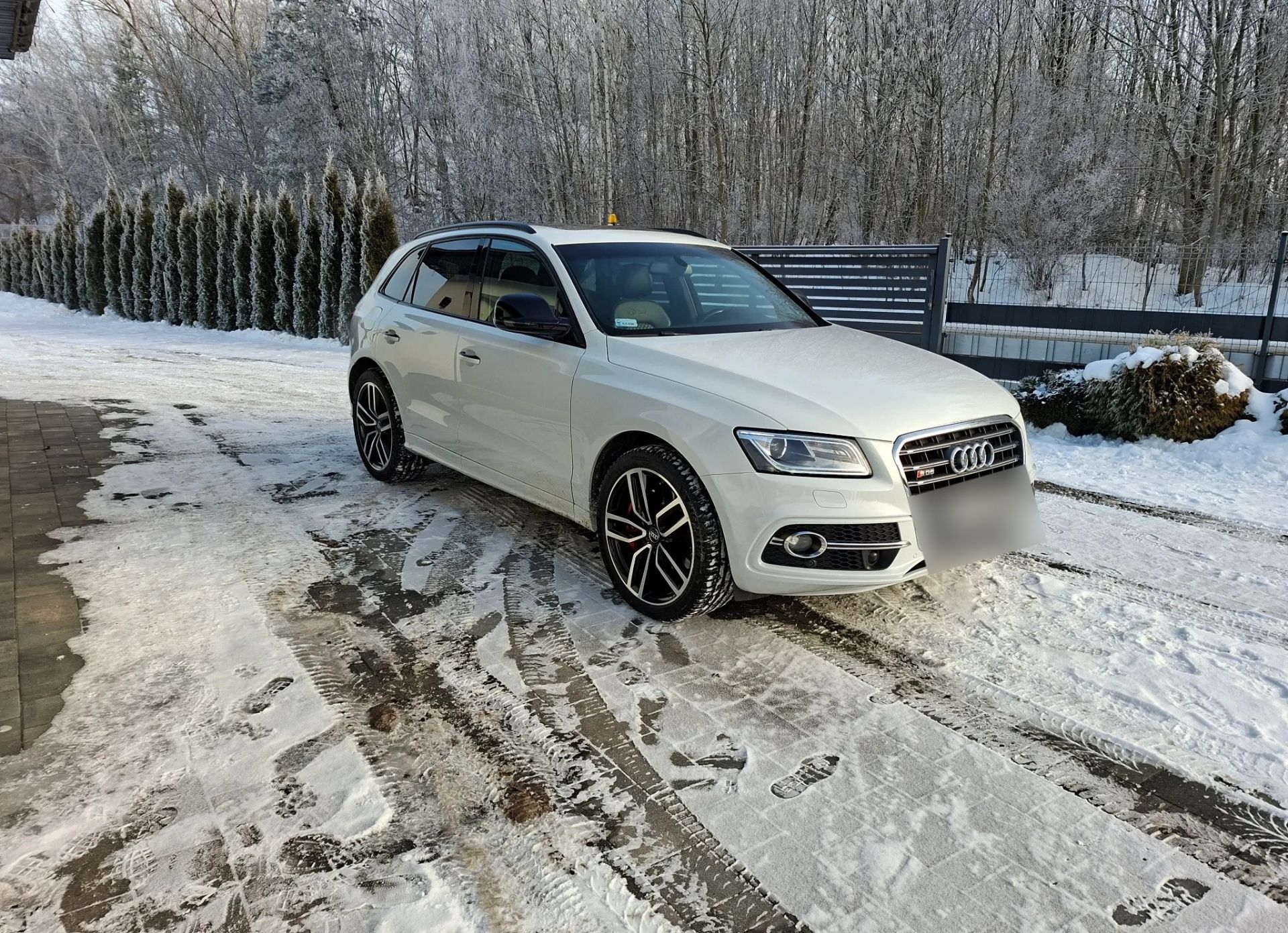 Audi SQ5 - FULL OPTION