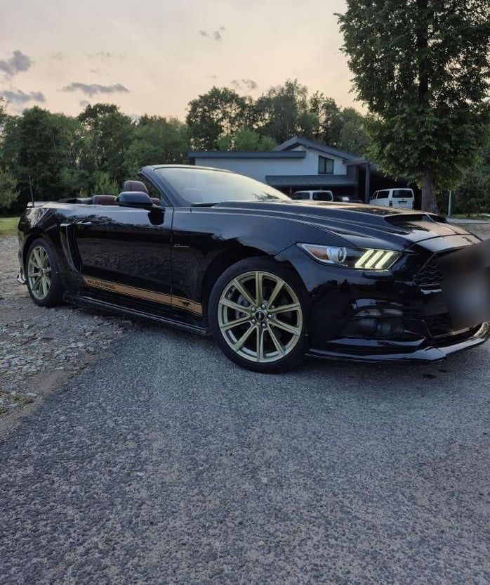 FORD MUSTANG-FULL OPTION - Ford Mustang disponible chez SYC75