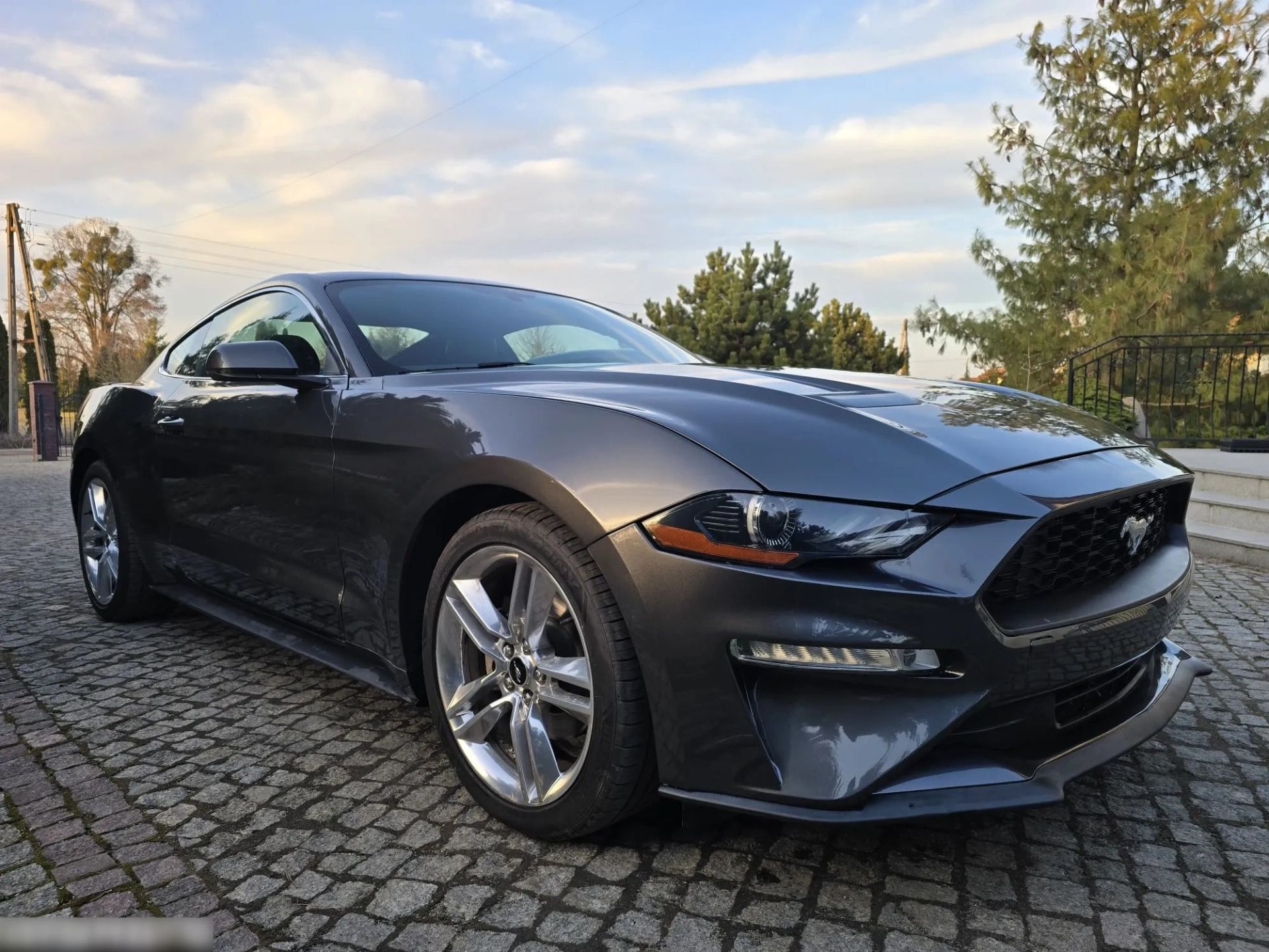 FORD MUSTANG - 317 CH