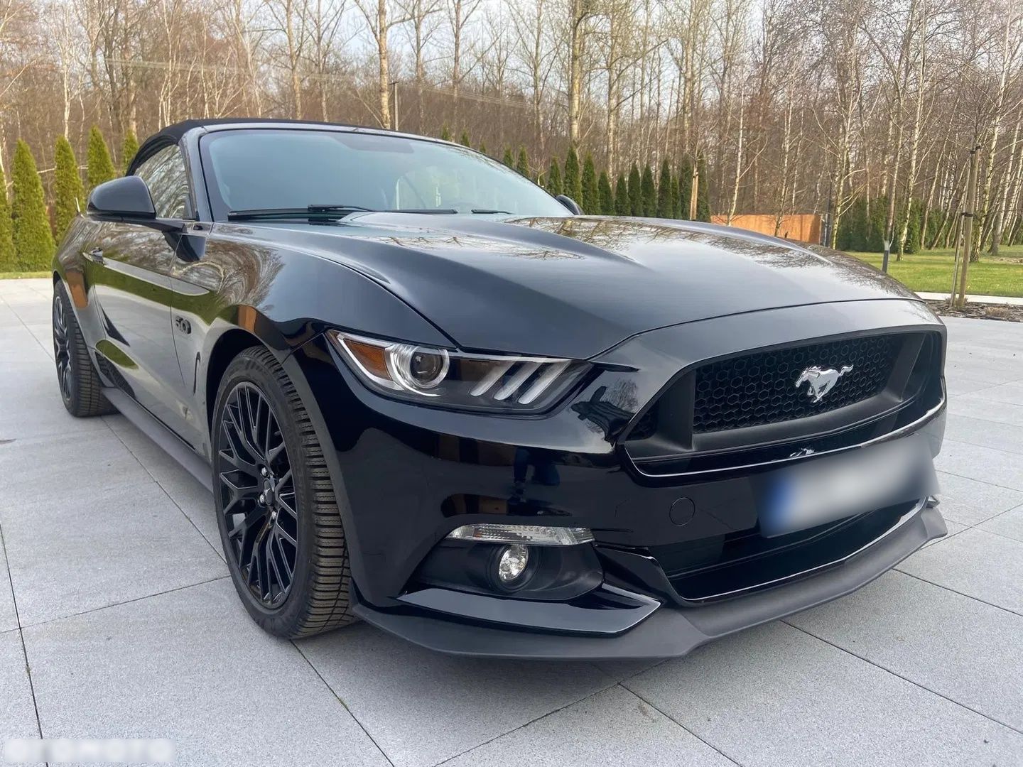 FORD MUSTANG -FULL BLACK  FULL OPTION