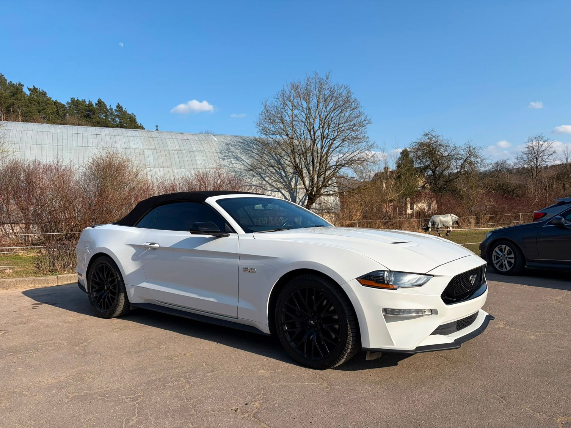 Ford Mustang GT - FULL OPTION