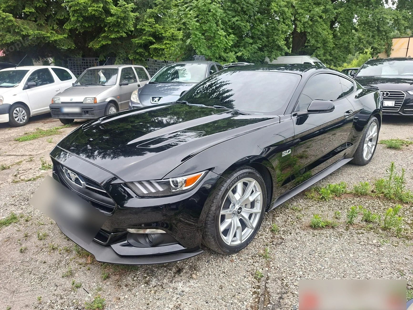 Ford Mustang 5.0 GT Édition 50e anniversaire - FULL BLACK