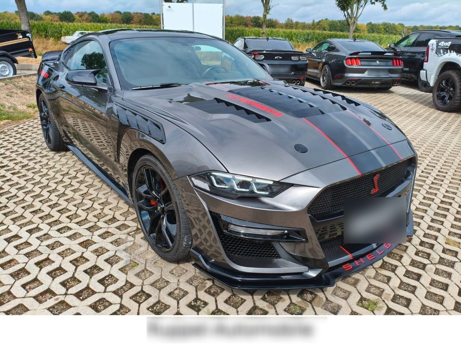 Ford Mustang 441
