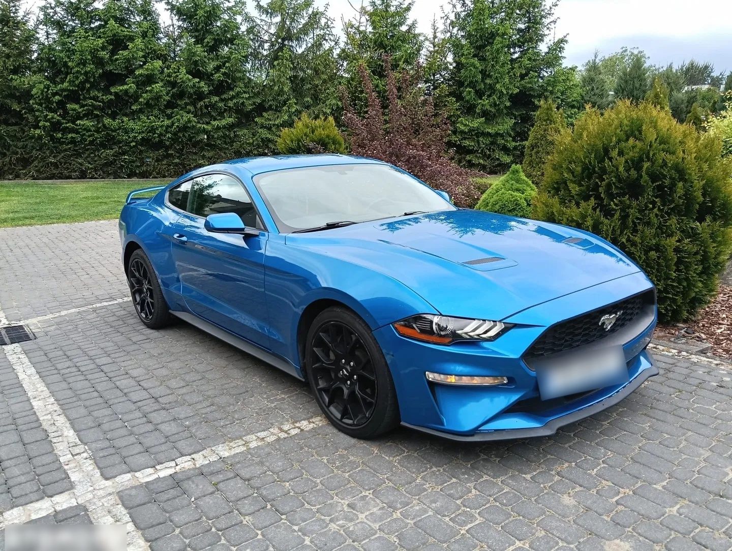 FORD MUSTANG - 317 CH