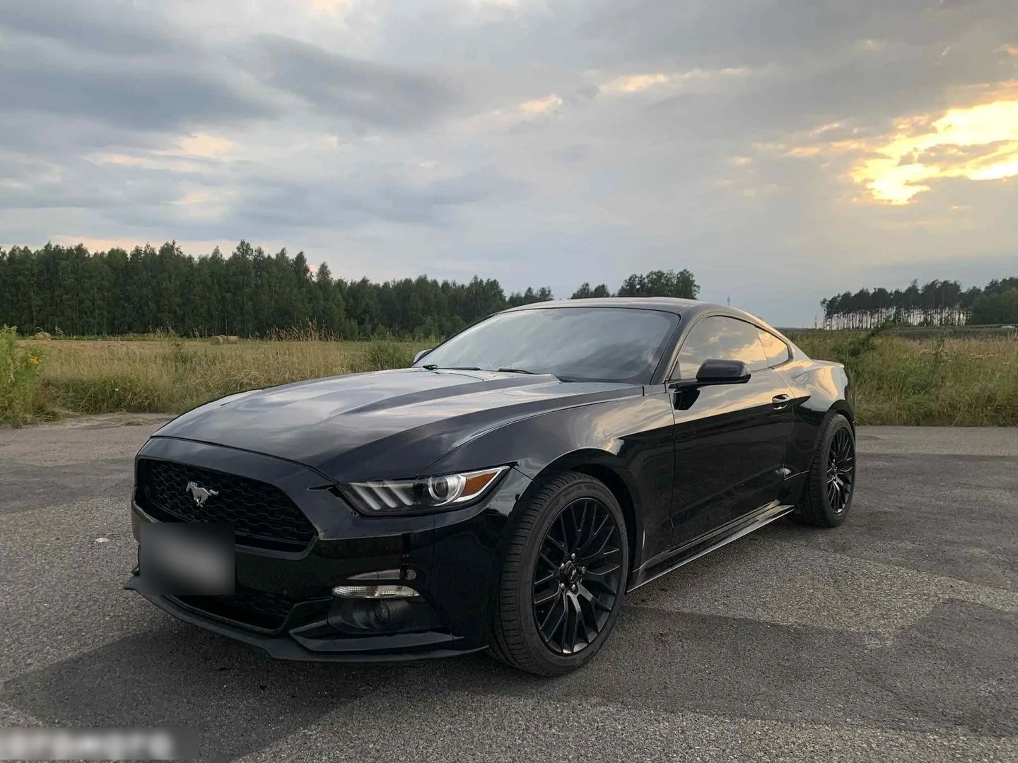 FORD MUSTANG - FULL BLACK