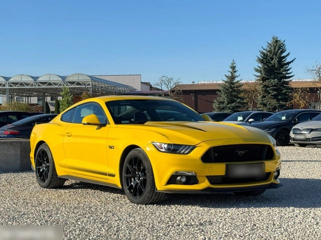 FORD MUSTANG - 450 CH