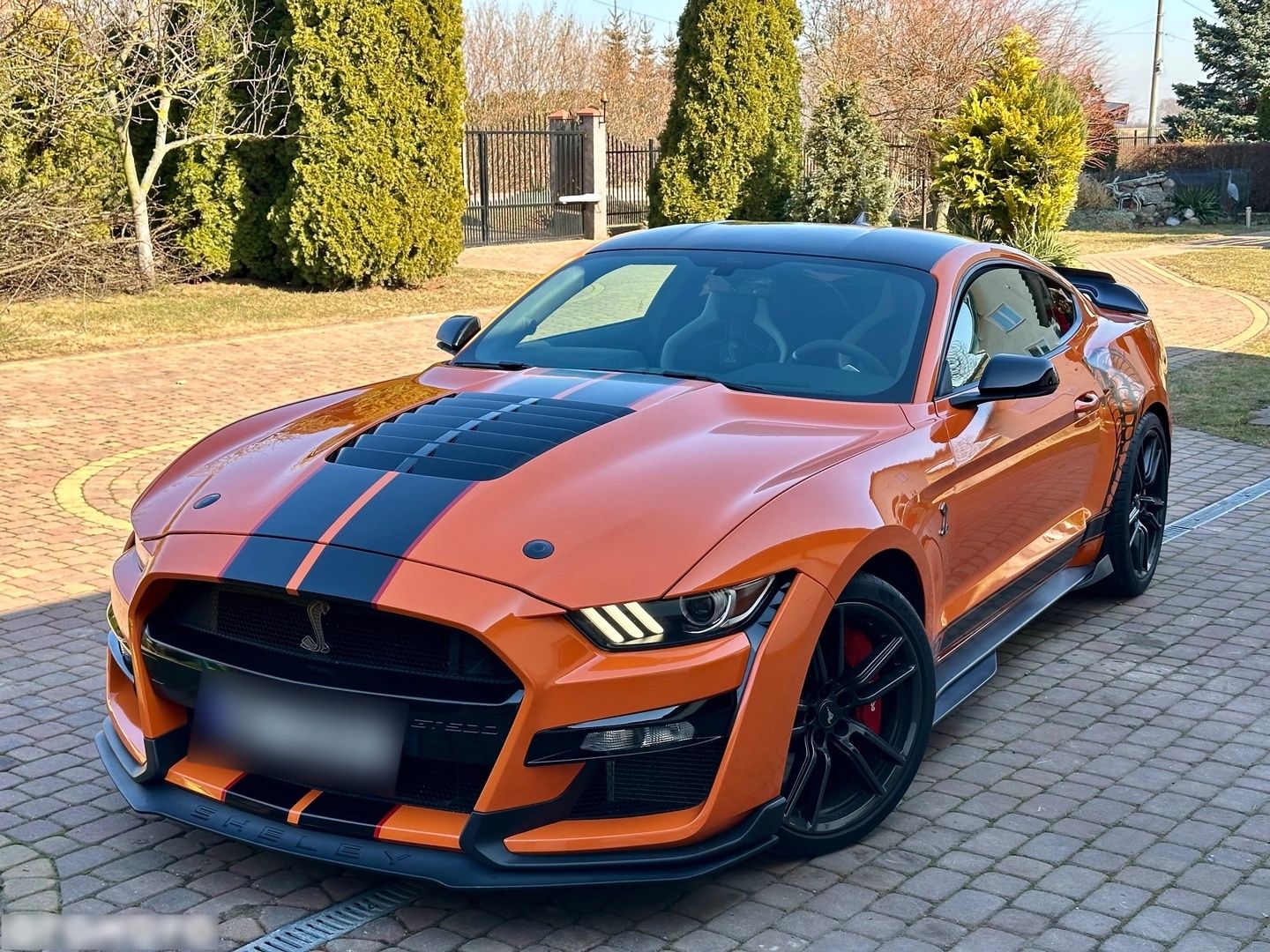 FORD MUSTANG - 771 CH