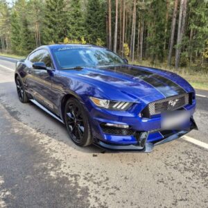 Ford Mustang Coupé 317 Ch