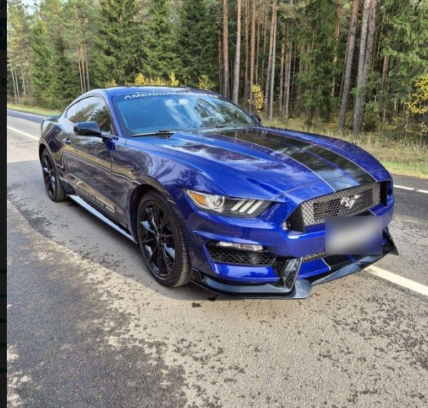 Ford Mustang Coupé 317 Ch