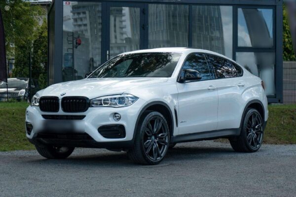 Bmw x6 m performance 306 ch