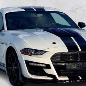 Ford Mustang SHELBY 309CH 2.3L coupé