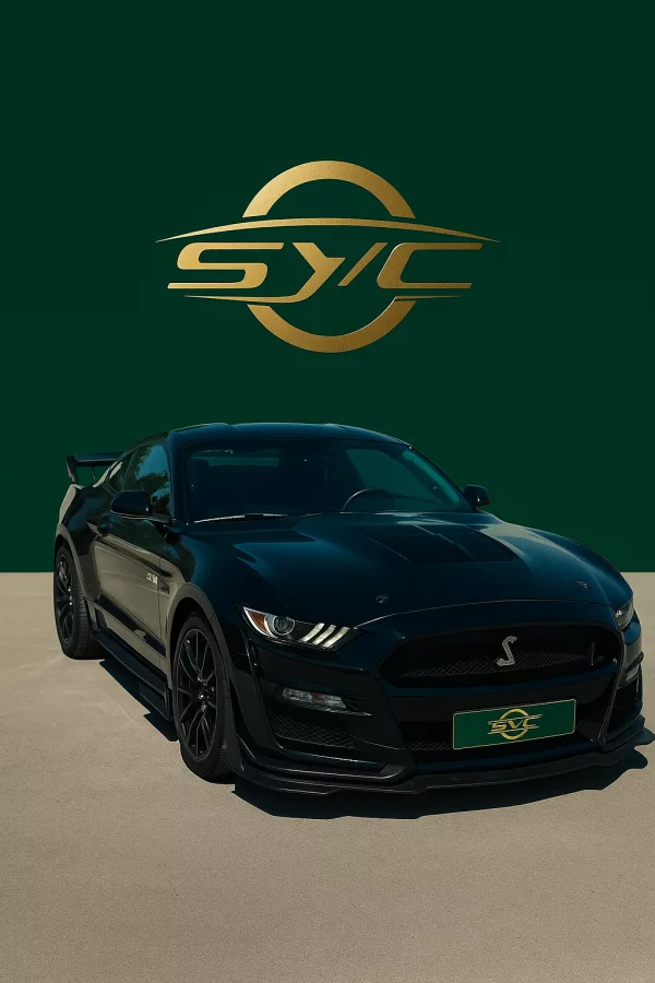 Ford Mustang VI Fastback 5.0 V8 GT BVA6 | 2017