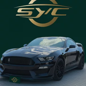 Ford Mustang VI Fastback 5.0 V8 GT BVA6 | 2017