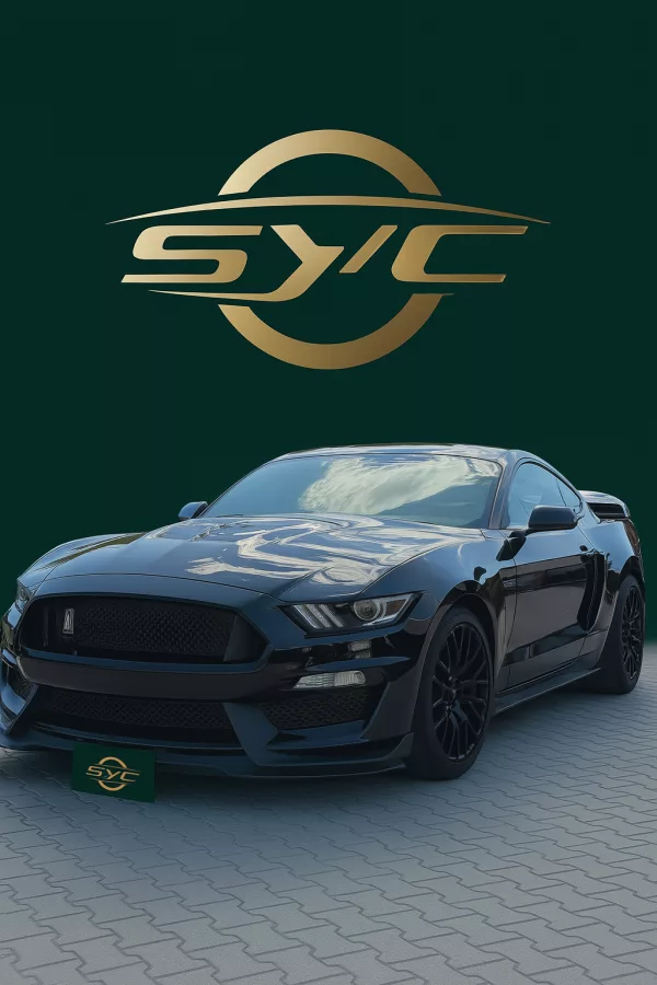 Ford Mustang VI Fastback 5.0 V8 GT BVA6 | 2017
