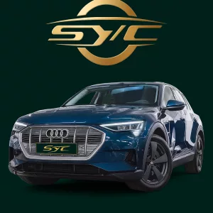 Audi e-tron 50 Quattro Avus – 313 ch – 71 kWh – BVA – 4x4 – 2022