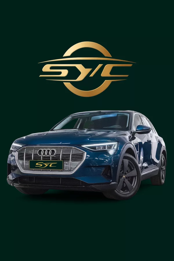 Audi e-tron 50 Quattro Avus – 313 ch – 71 kWh – BVA – 4x4 – 2022
