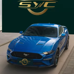 Ford Mustang VI (2) Fastback 5.0 V8 GT – 460 ch – BVA10 – 2021