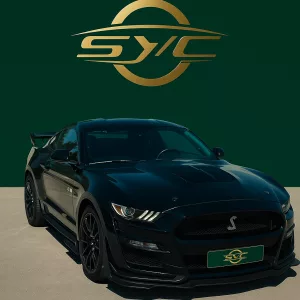 Ford Mustang, 5,0 l,hayon
