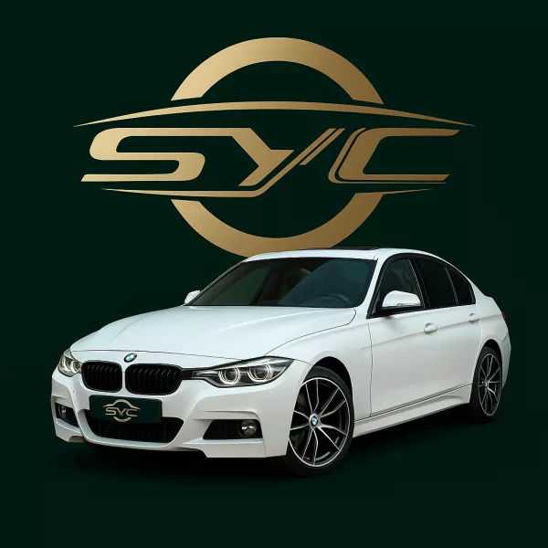 BMW SERIE 3 306 CV