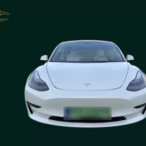 Tesla Model 3 - FULL OPTION