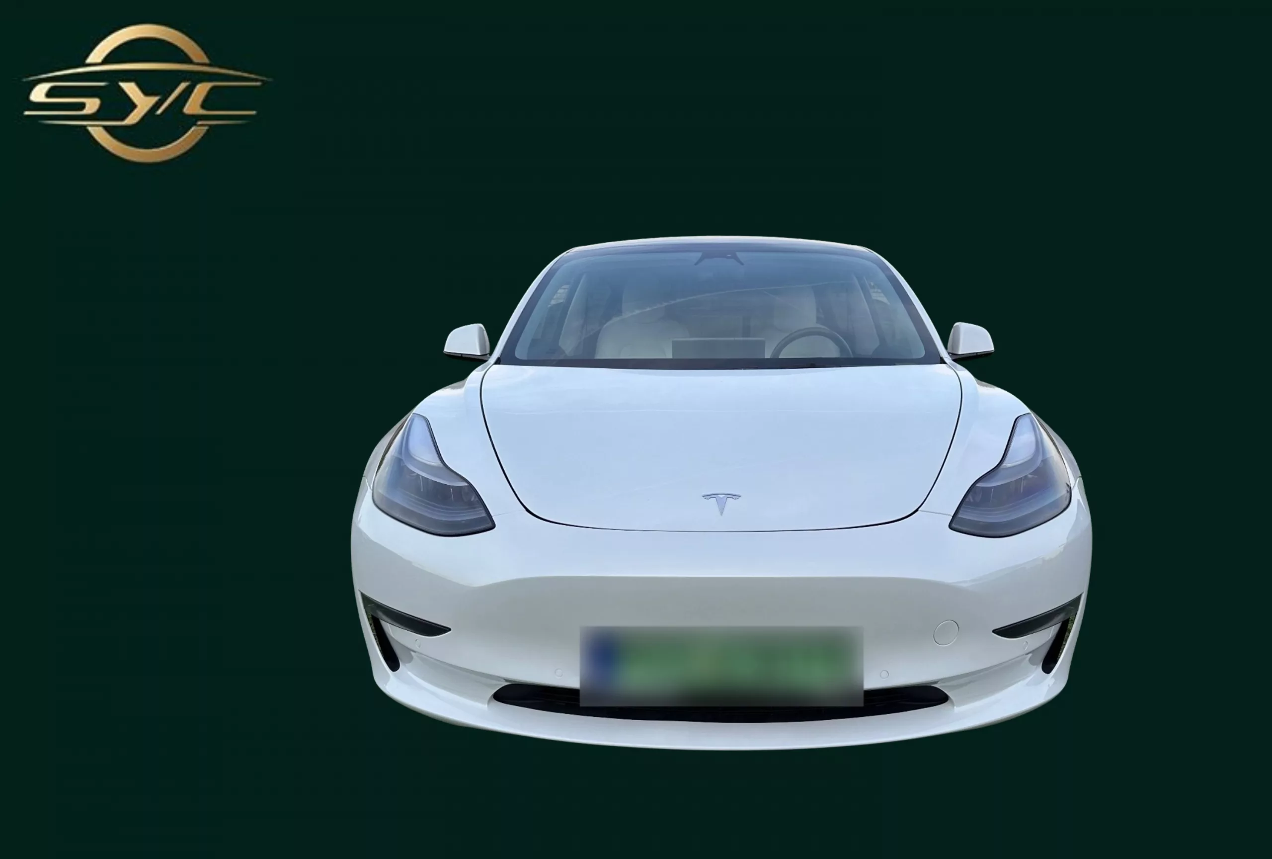 Tesla Model 3 - FULL OPTION