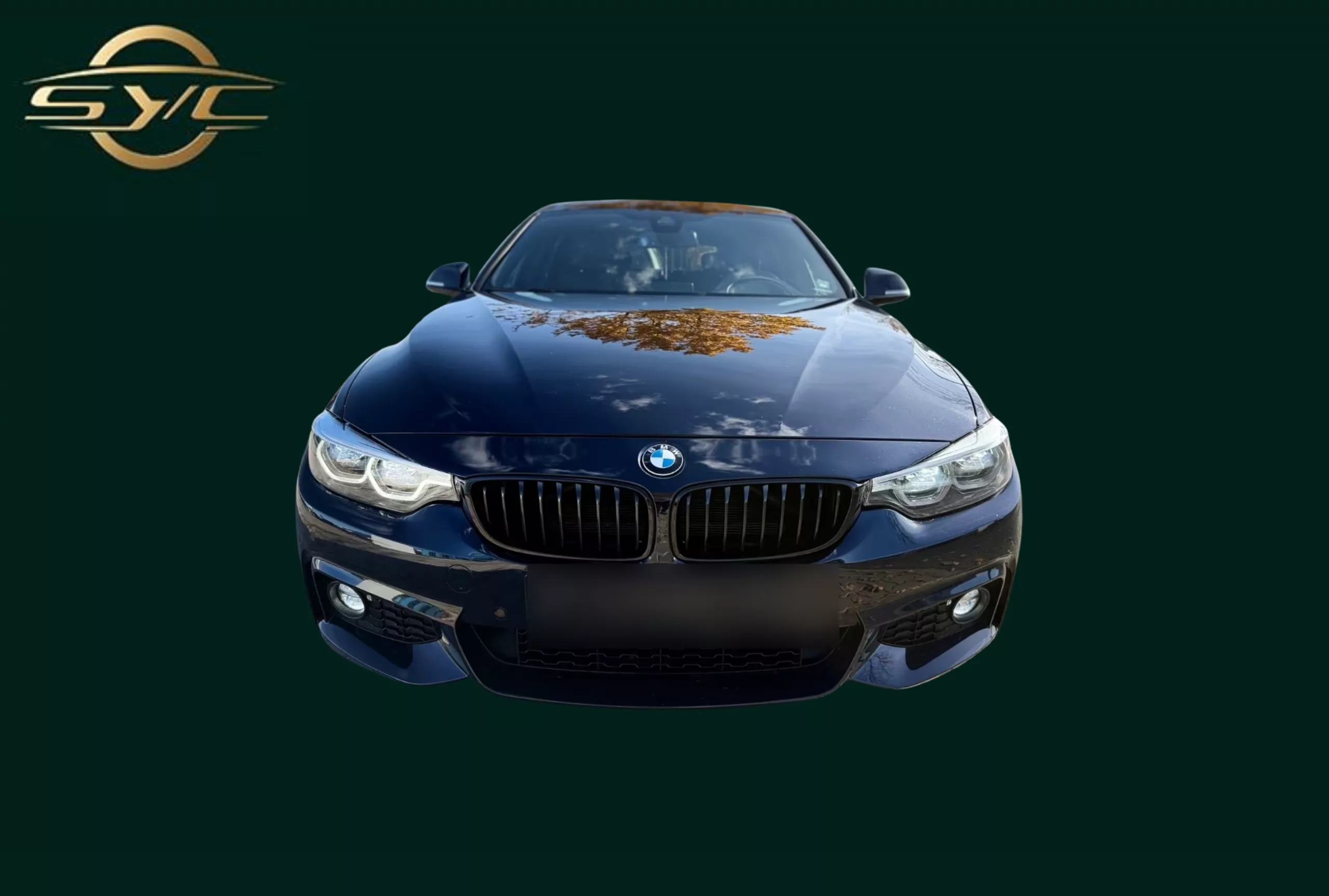 BMW 420 FULL BLACK - FULL OPTION