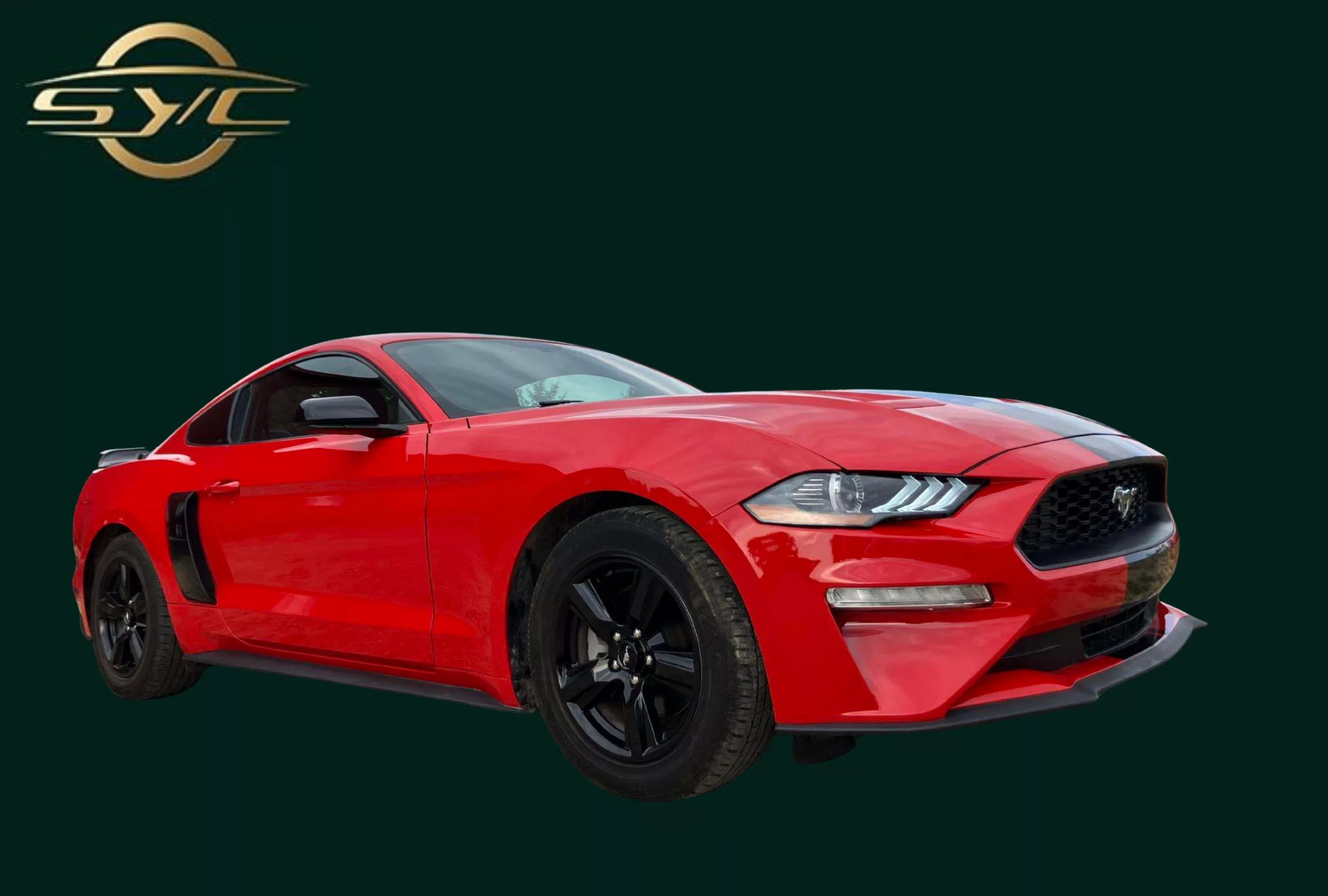 FORD MUSTANG - 310 CH